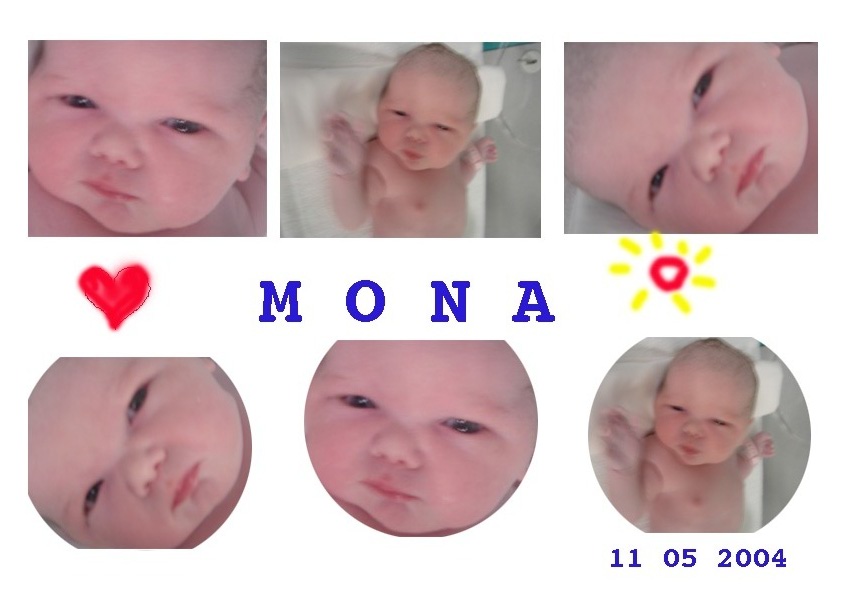 mona1.jpg image
